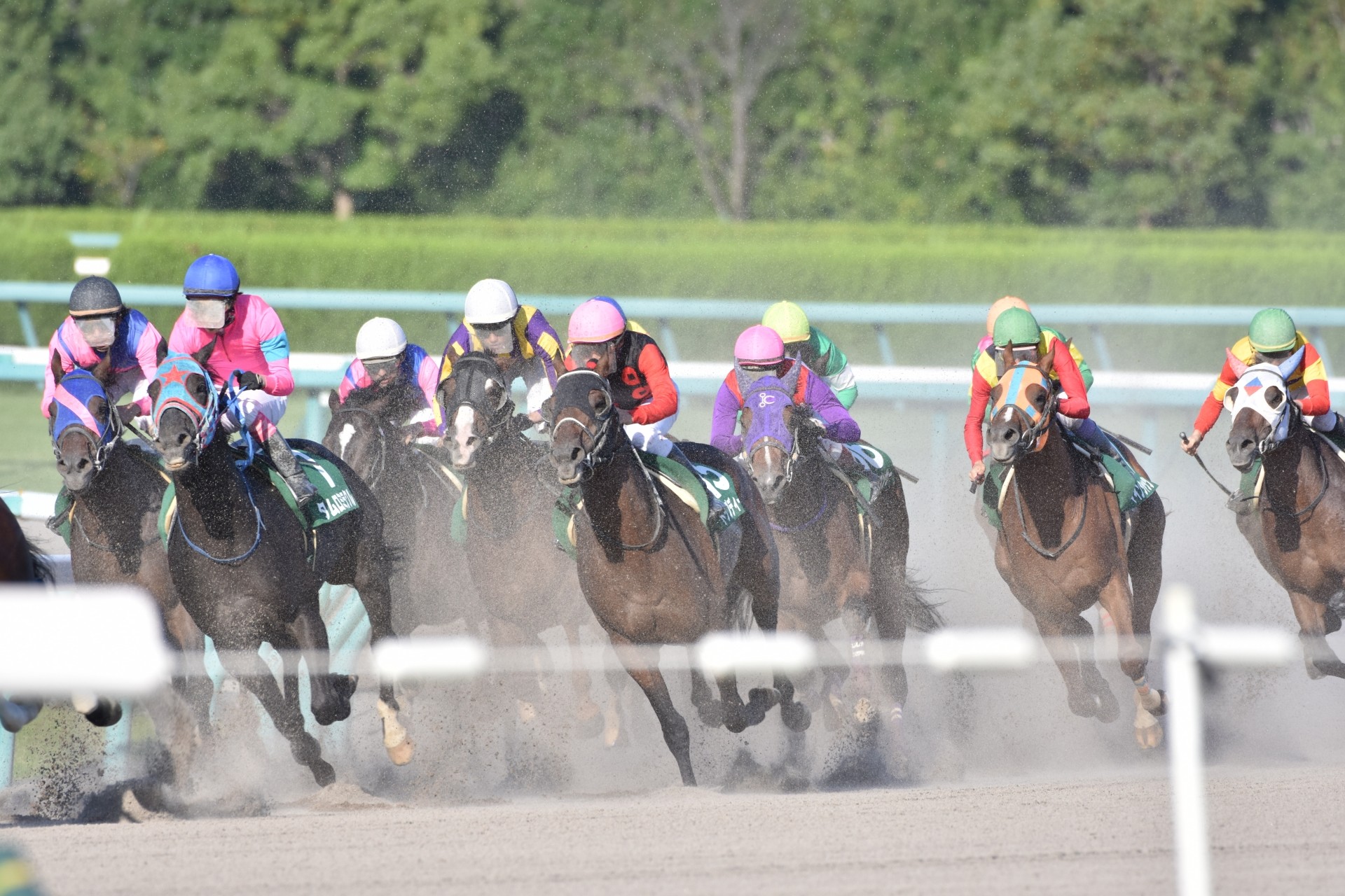【門別富川地区協会】2026年度会員交流会のご案内