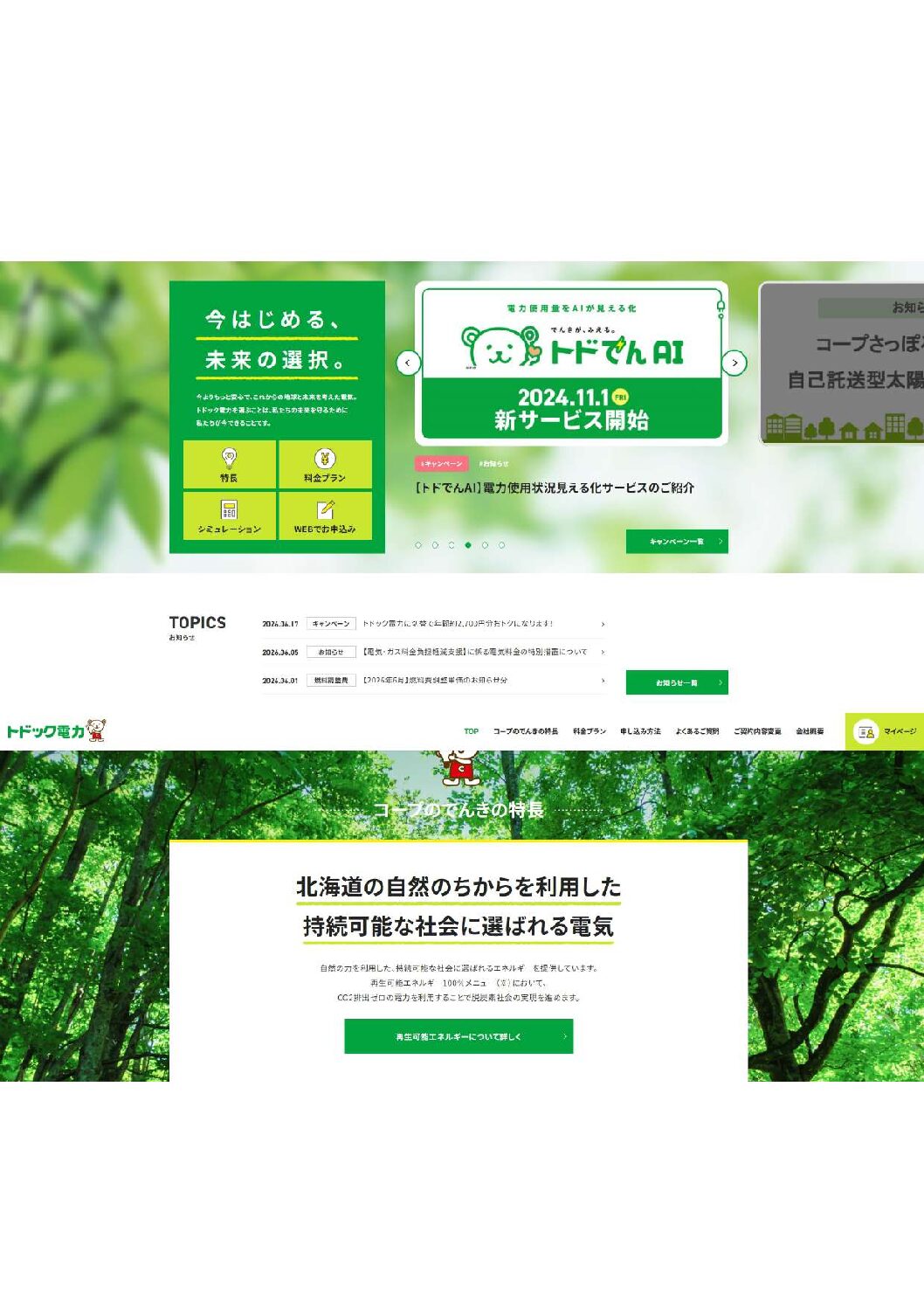 株式会社トドック電力